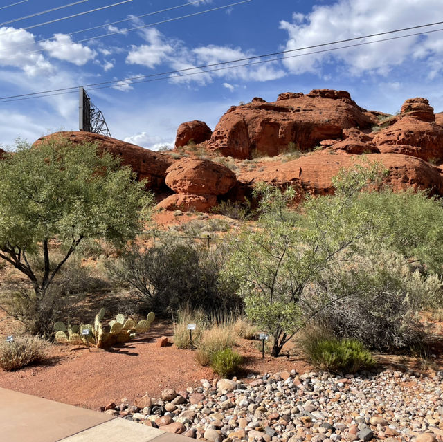 🚗🌵 Red Hills Desert Garden – The Perfect Scenic Stop Between National Parks 🦖🌺