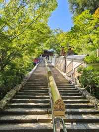 Miyajima Island: A Magical Escape Just Outside Hiroshima