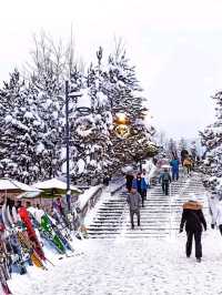 Whistler: Where Adventure Meets Alpine Beauty