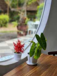 🌿✨ Naduei Café & Restaurant - คาเฟ่เล็กๆ 