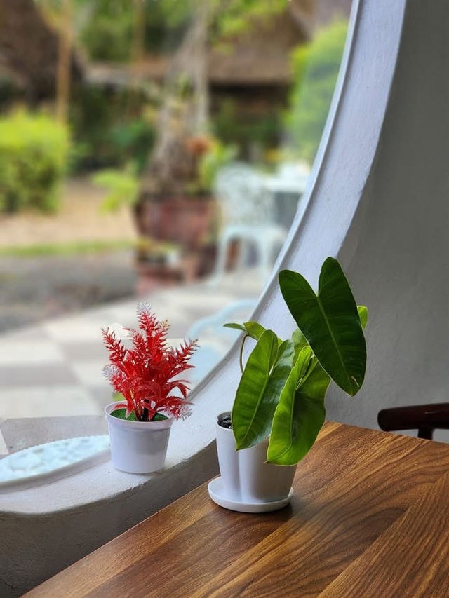 🌿✨ Naduei Café & Restaurant - คาเฟ่เล็กๆ 