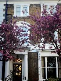 Earl’s Court to Imperial: A Walk Through Kensington’s Quiet Grandeur