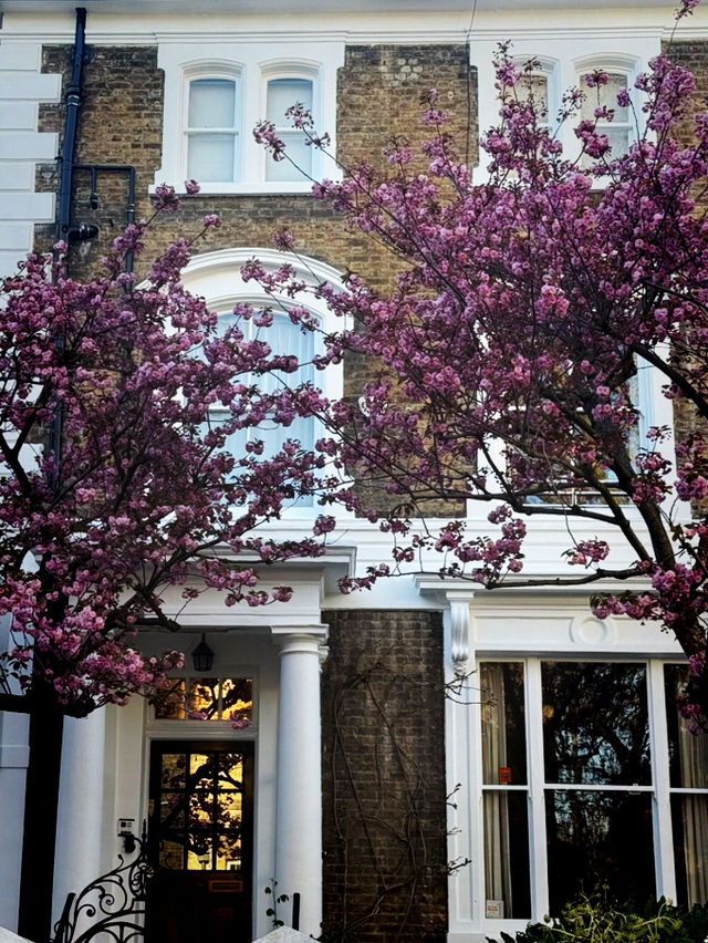 Earl’s Court to Imperial: A Walk Through Kensington’s Quiet Grandeur