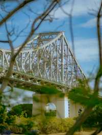 🌿 Green Lungs of Brisbane: Hidden Nature Trails