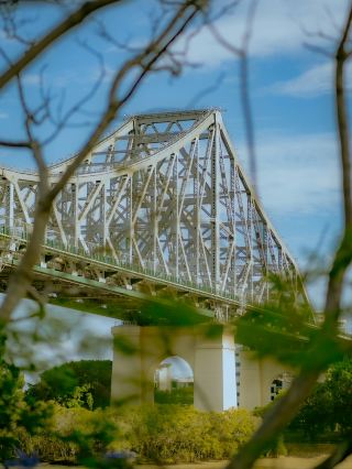 🌿 Green Lungs of Brisbane: Hidden Nature Trails