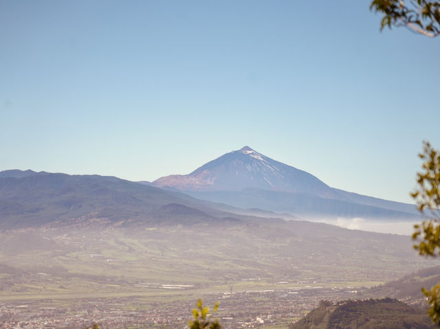 Uncovering Tenerife’s green landscape in Anaga Rural Park