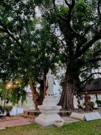 🕊️ Wat Traphang Thong – The Floating Grace of Old Sukhothai