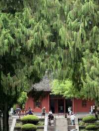 Nanjing: Where History Meets Modern Life