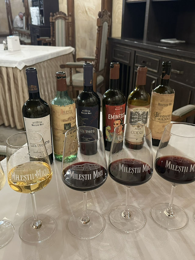 🚗 Driving Through a City of Wine: The Marvel of Mileștii Mici