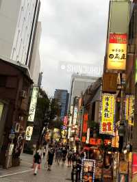 Tokyo on a Budget: Sushi, Shrines & Street Life