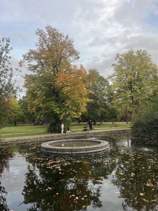 🍁 Walpole Park – Autumn Calm in the Heart of Ealing 🍂🦆