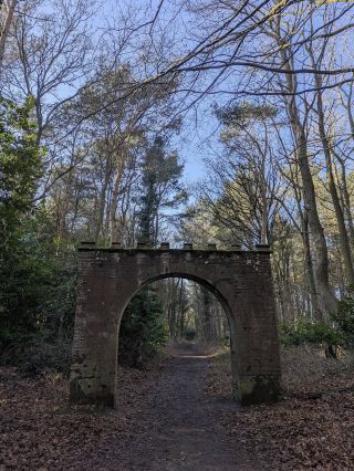🍁 Holt Country Park – Misty Mornings and Quiet Autumn Trails 🌲 