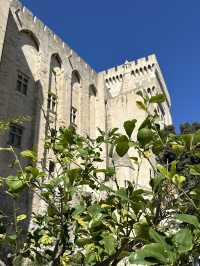 Папские сады в Авиньоне