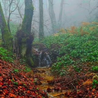 雄大な山頂の景色