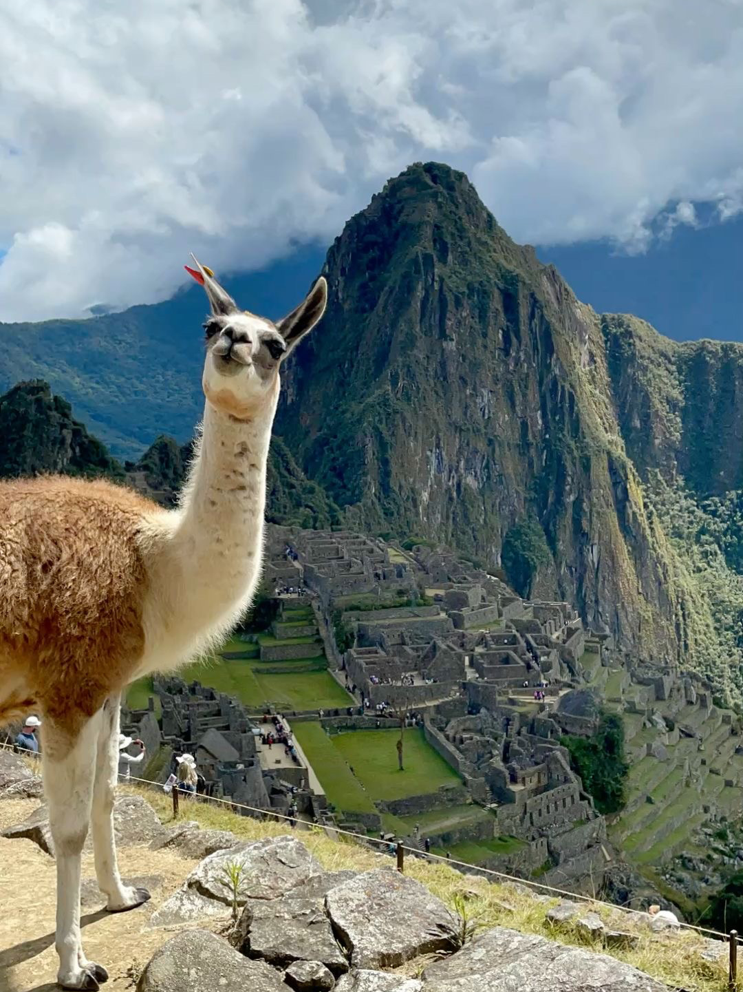 Lost City in the Clouds: Machu Picchu 🇵🇪⛰️