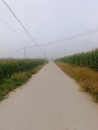 私たちはいつも都会の荒波の中を無我夢中で走り抜け、ただ速く走りさえすれば悩みを振り払えると思い込んでいる。しかし、私たちが本当に旅に出て初めて、ハッと気づくのだ。