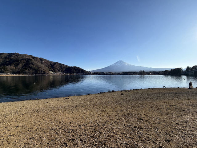 Solo Trip: 15 Winter Days in Japan - from Tokyo to Nagasaki 🇯🇵❄️