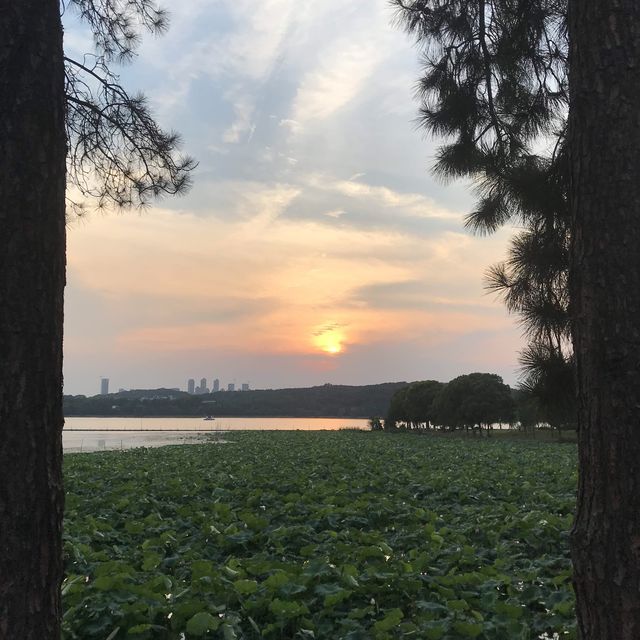lake life in Wuhan