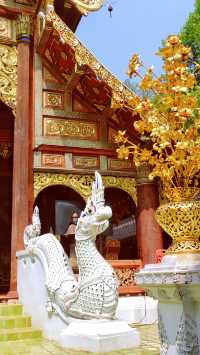 Chiang Mai's largest meditation center, a place where you can truly calm down.