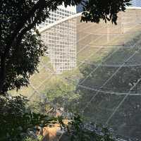 打卡香港動植物公園