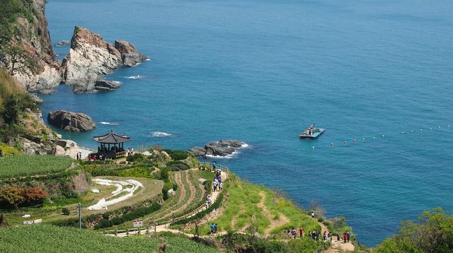 震撼！東極島的海洋生物竟然如此豐富，你知道嗎？