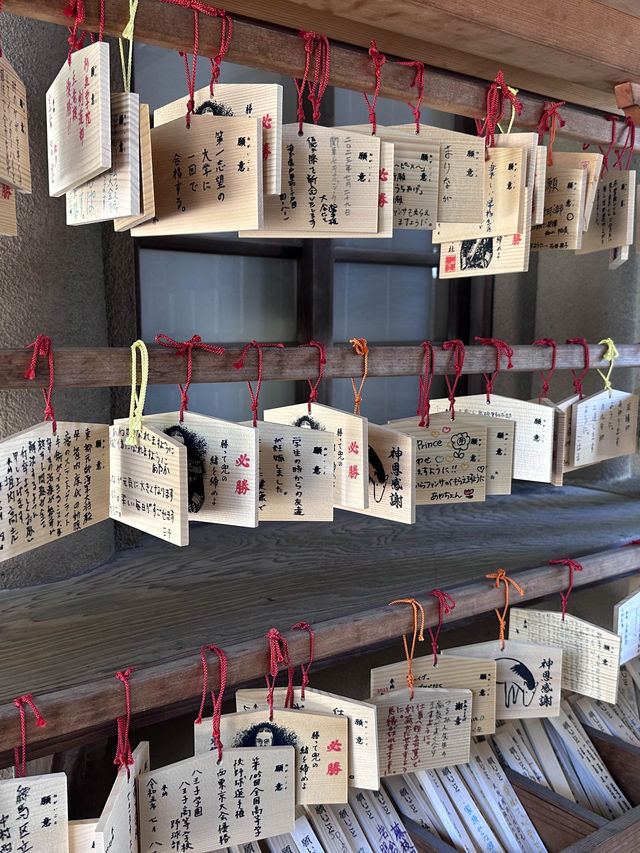 Tokyo, trip of a lifetime. A dream come true