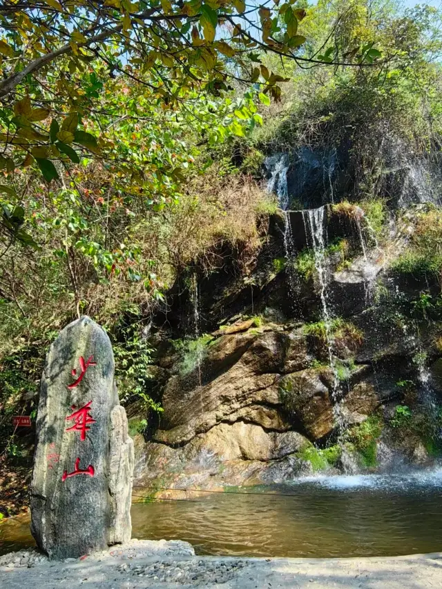 สวนป่าชาวหัวภูเขา