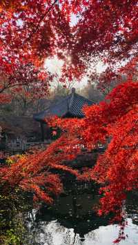 週末去哪兒——虞山風景美如畫