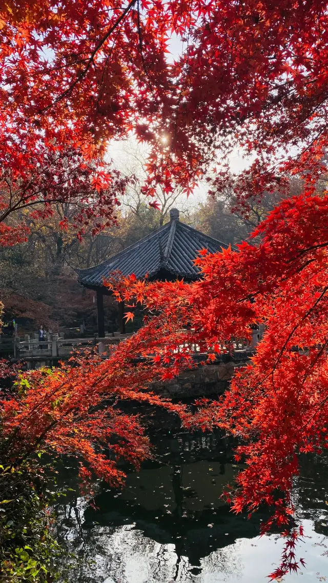 Where to go on the weekend - Yu Mountain is picturesque