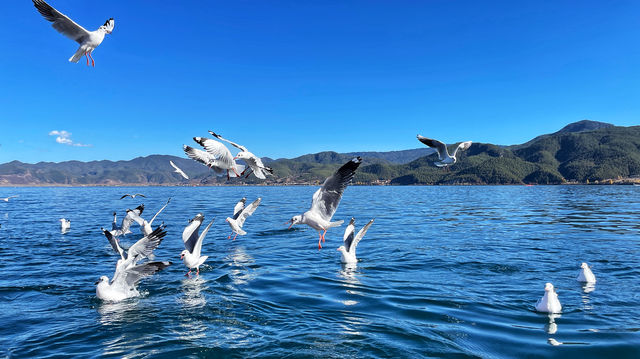 泸沽湖