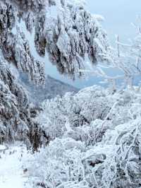 【探秘嶺南秘境】金子山，清遠的冬日仙境