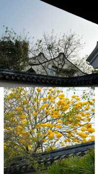 惠州小眾溫泉|古典中式園林·中海湯泉