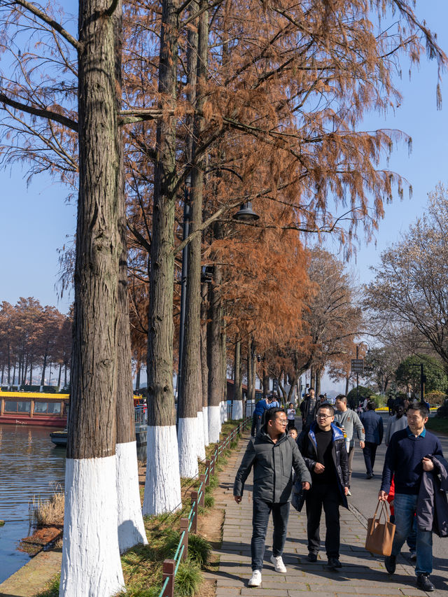 溫冬裡東湖磨山風景區一日遊