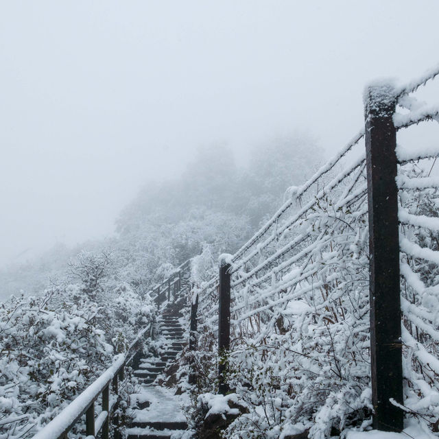 美哭 下雪天的北高峰宛若仙境