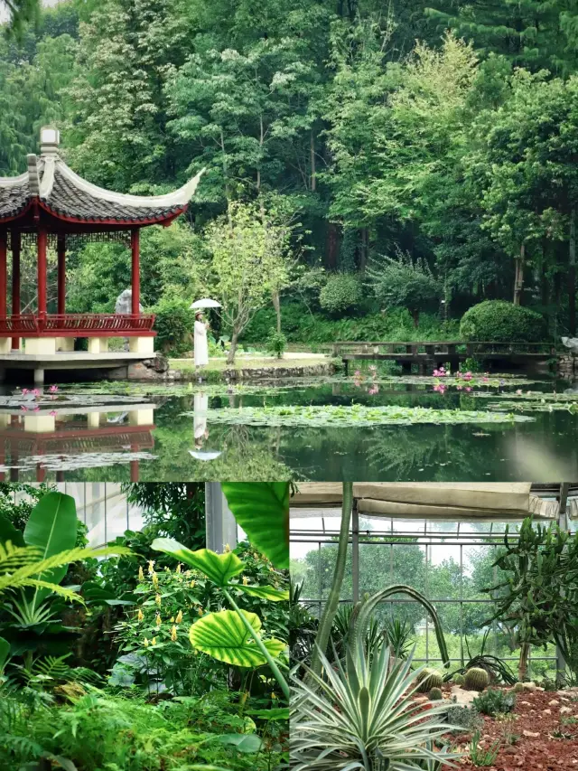 A great place to check in for the National Day~~ Wuhan Botanical Garden