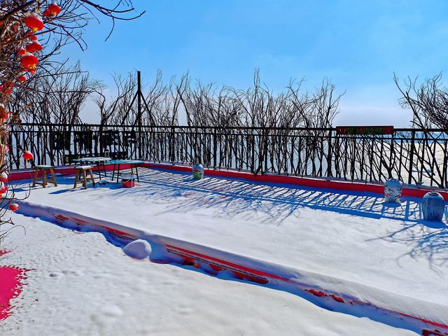 十五年一遇的雪與海與懷舊的民宿的兩天