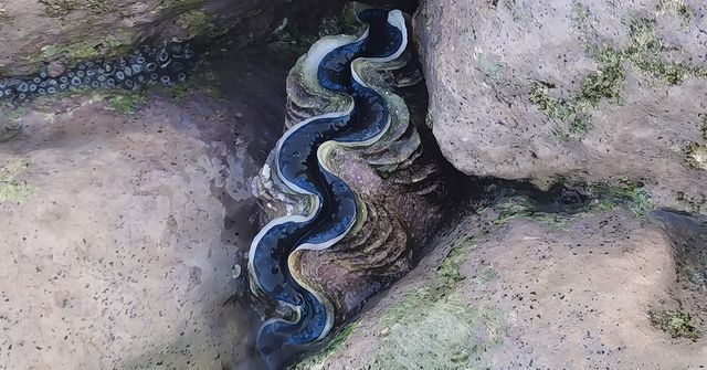 中央格蘭德的優缺點（個人感受）