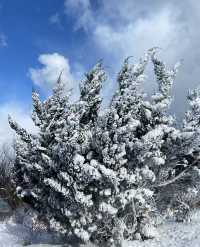 煙台養馬島風雪之後景色美爆了！