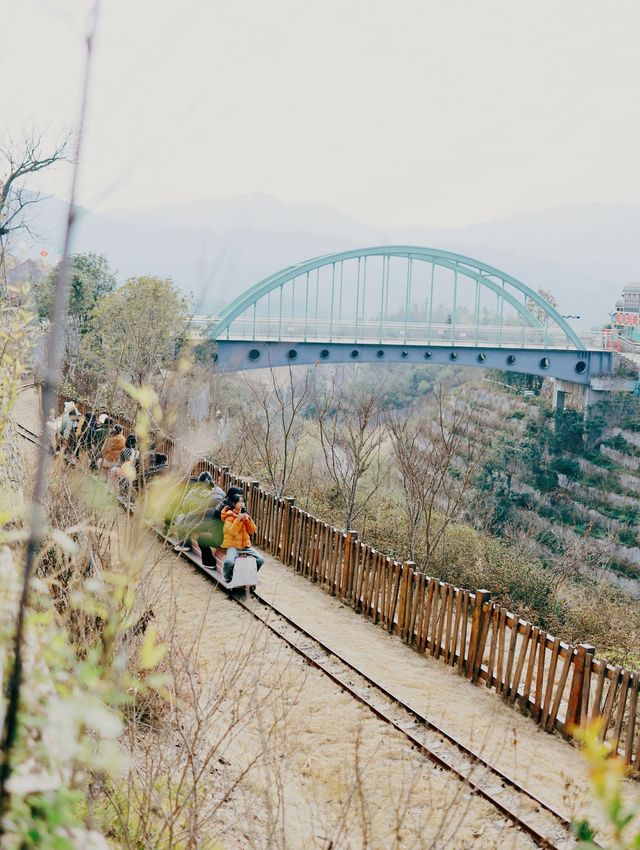 溫州泰順小火車樂園 真的太好玩了!