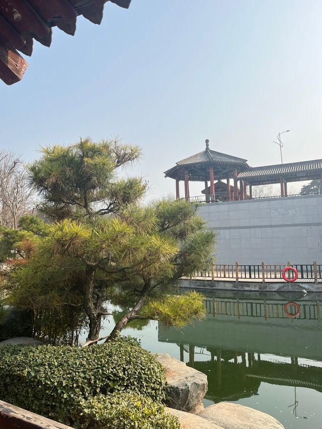 陝西西安唐苑新中式打卡地園林公園