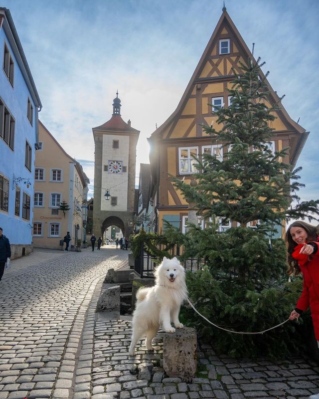 Smol polar bear explores 📍Rothenburg ob der Tauber during the Christmas season! 🎄😍