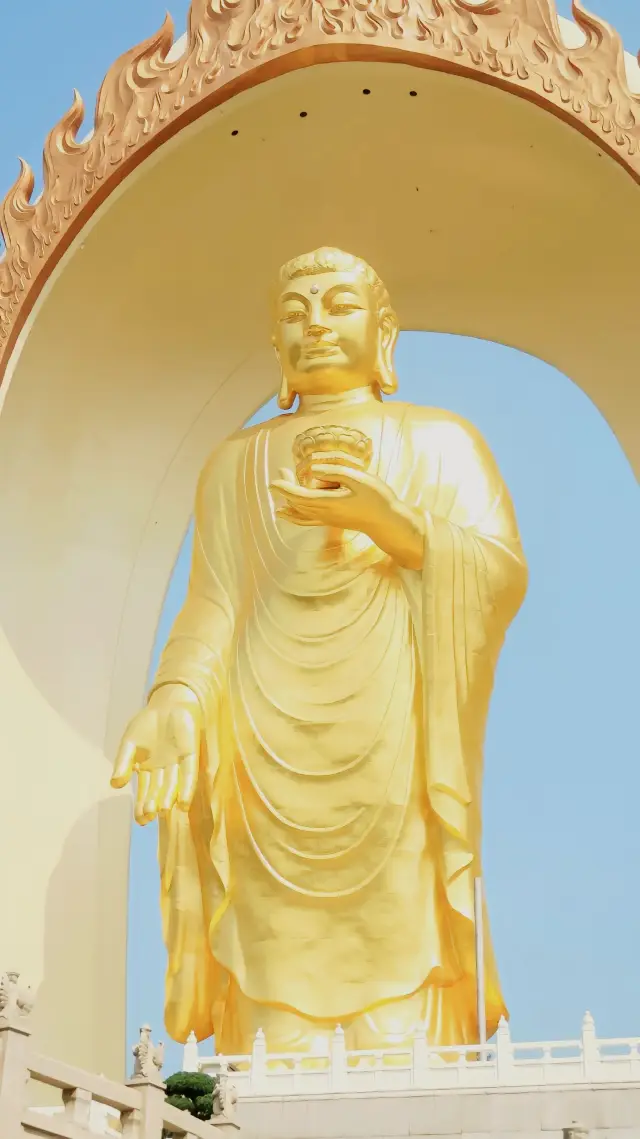 <The Donglin Great Buddha Travel Guide>