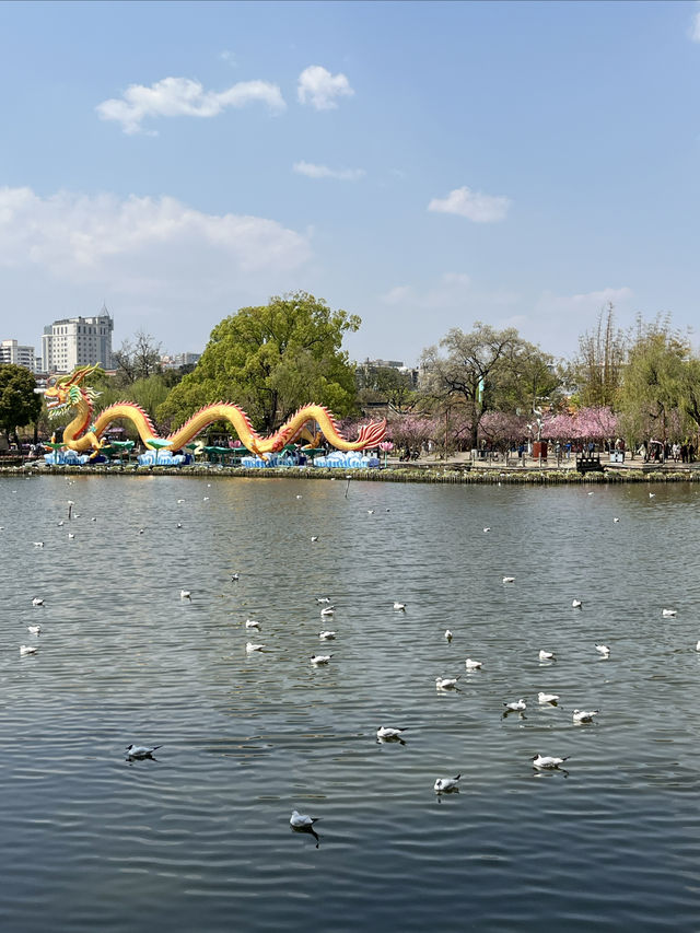翠湖公園