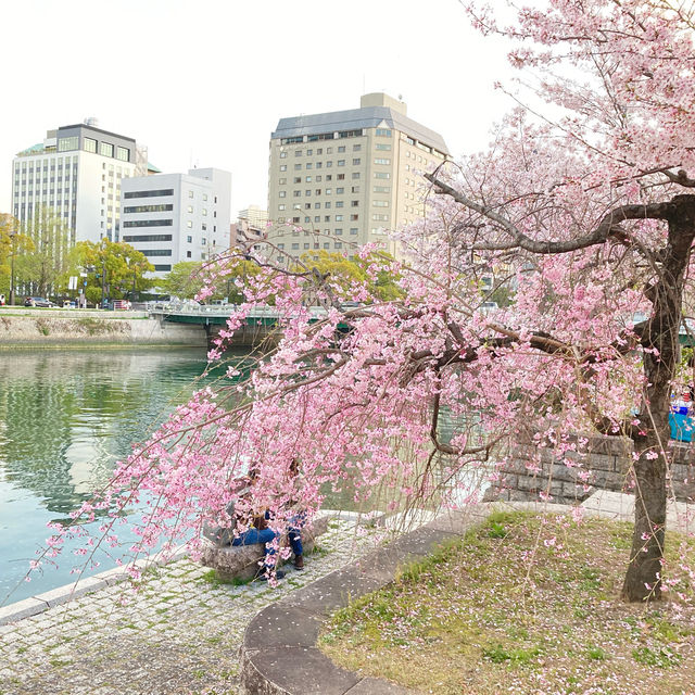 Hiroshima during Sakura 