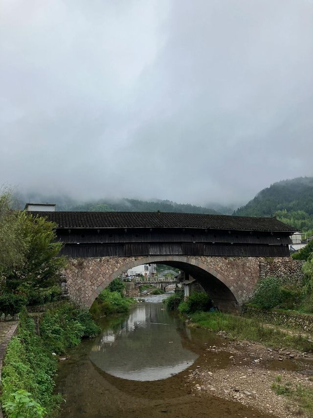 景美人少的地方嗎？——慶元月山村