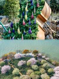 無錫太湖植物園璀璨登場，限時免費暢遊一週