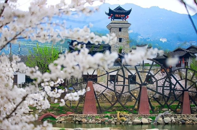武漢唯一土家風情景區——錦里溝看櫻花