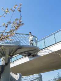 春遊記|在成都發現了超美海棠花海，小眾沒人！