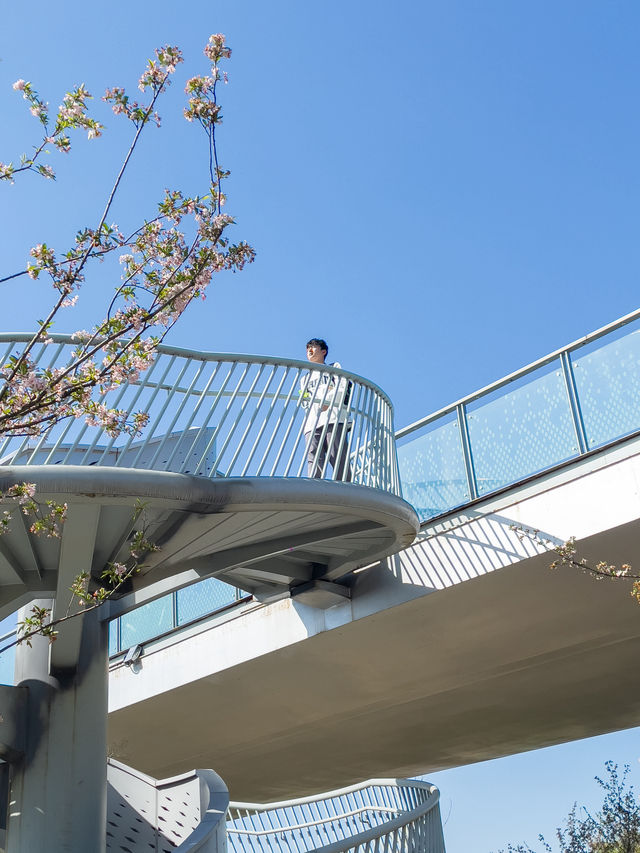 春遊記|在成都發現了超美海棠花海，小眾沒人！