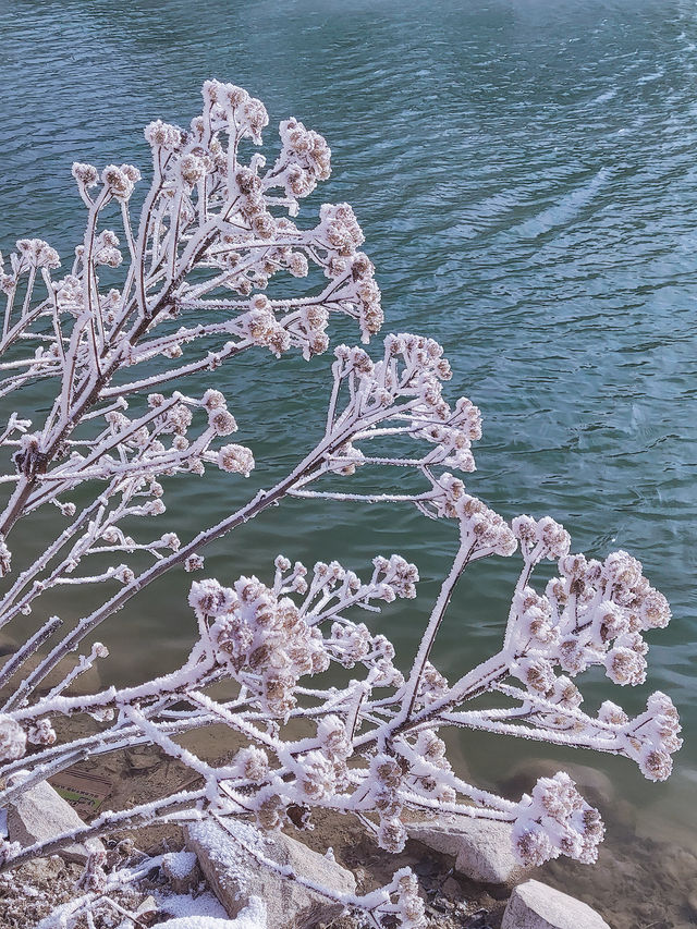 踏雪九仙山｜福建德化兩天一夜自駕遊